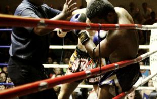 img_4004-patong-muay-thai-copy