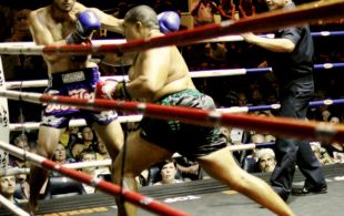 img_4116-patong-muay-thai-copy