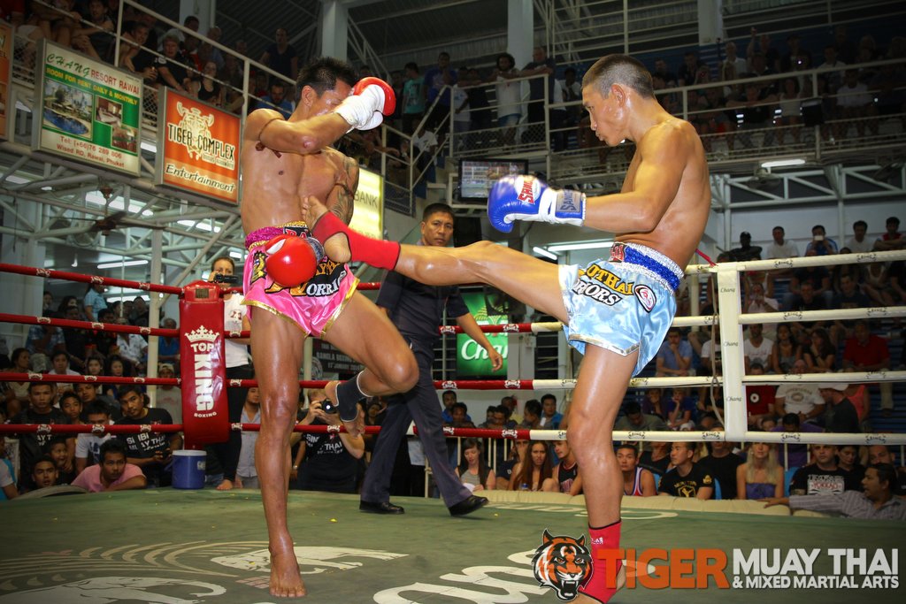 The Mystery of Chessboxing - Tiger Muay Thai & MMA Training Camp